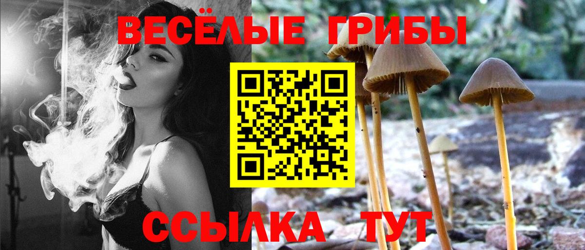 Псилоцибиновые грибы мицелий  Вход с VPN  Россия 